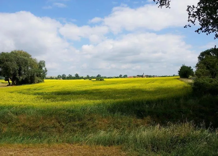 Perle Der Uckermark * Angermunde